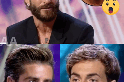 Un micro abierto desata el caos en el showbiz español: Pelayo Díaz lanza una guerra en directo contra Carmen Alcayde tras criticar abiertamente a Montoya… ¡y recibe una bofetada mediática al instante! ¿Qué hay detrás de esta bronca inesperada?|TH